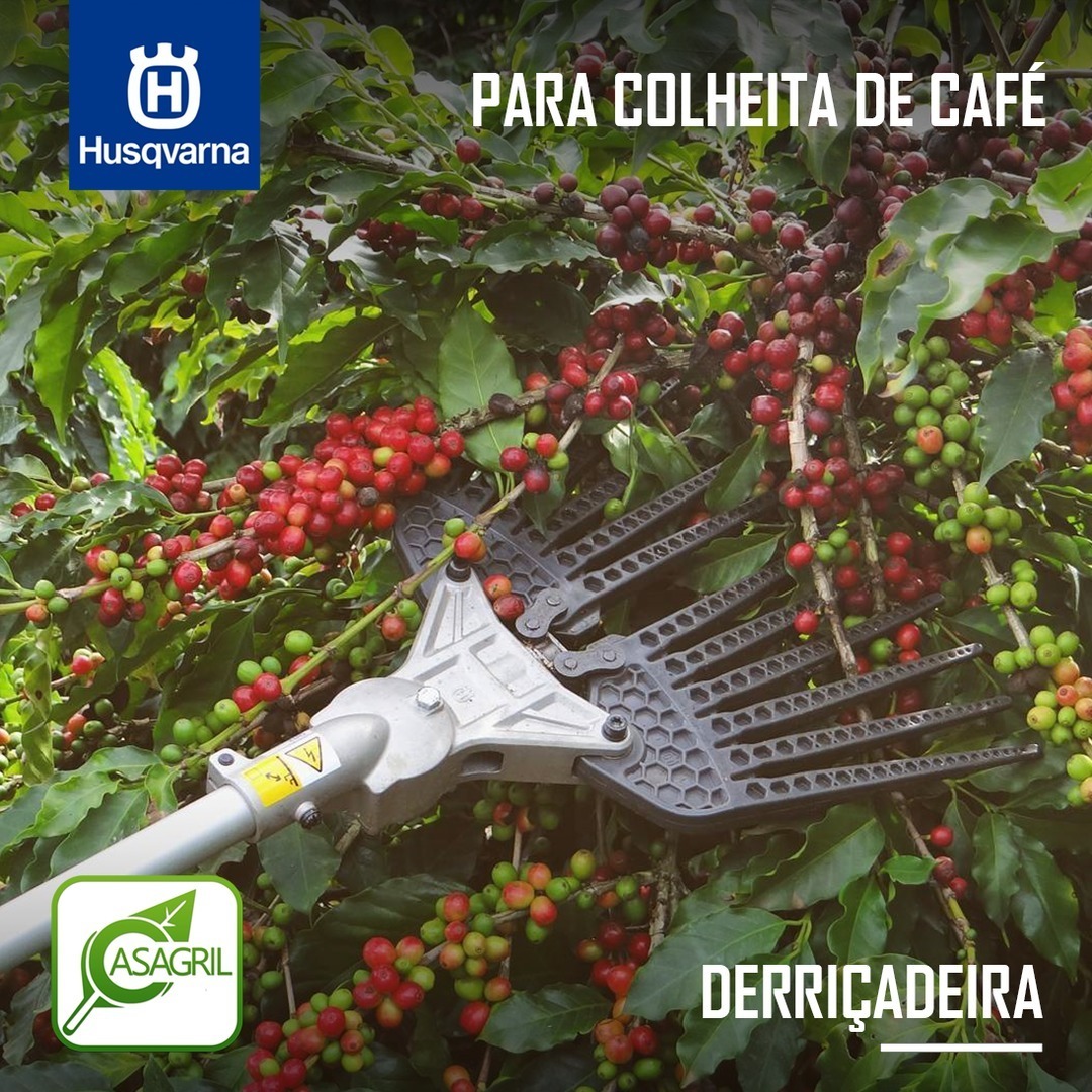 Ручной частично механизированный сбор кофейных ягод с помощью derricadeira