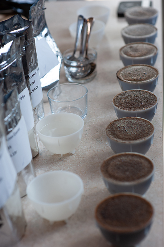 Капинг (тестирование и отбор) образцов кофе в Чайной Компании Слон